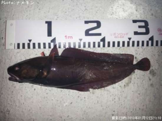 �ܻ������