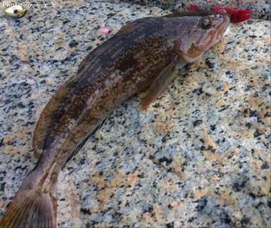 �����ʥ�