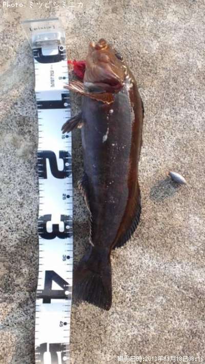 �����ʥ�