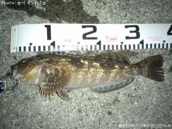 �����ʥ�