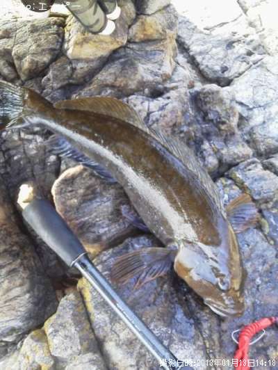 �����ʥ�