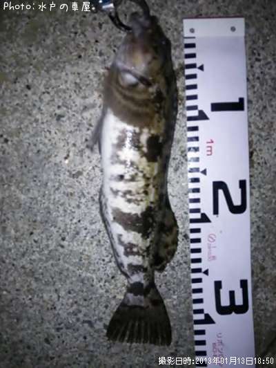 �����ʥ�