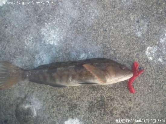 �����ʥ�