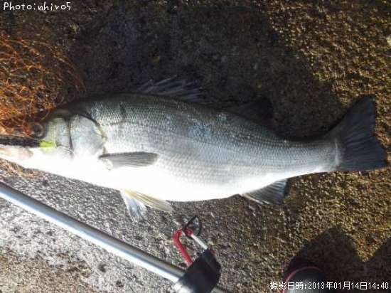 �ҥ饹����