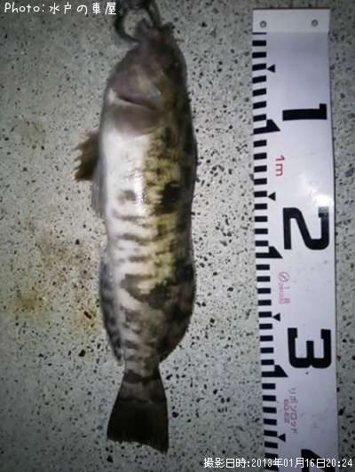 �����ʥ�