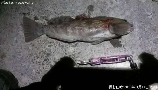 �����ʥ�