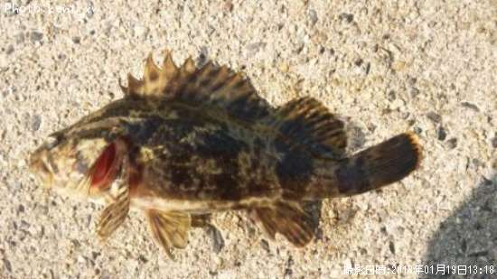 �����Υ���Х�