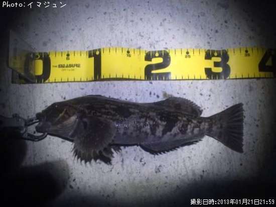 �����ʥ�