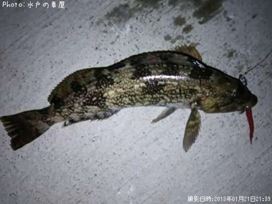 �����ʥ�