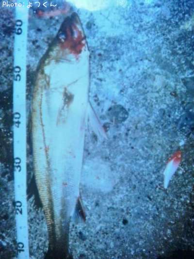 �����Х�