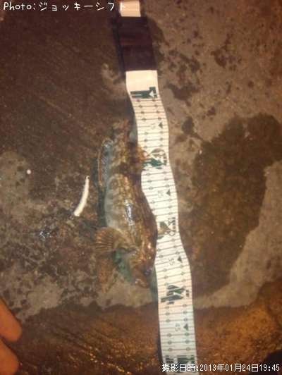 �����ʥ�