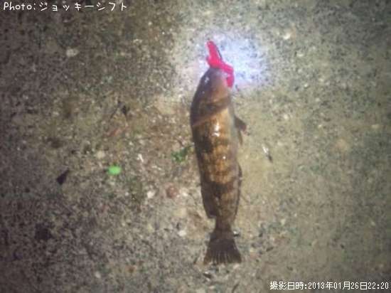 �����ʥ�