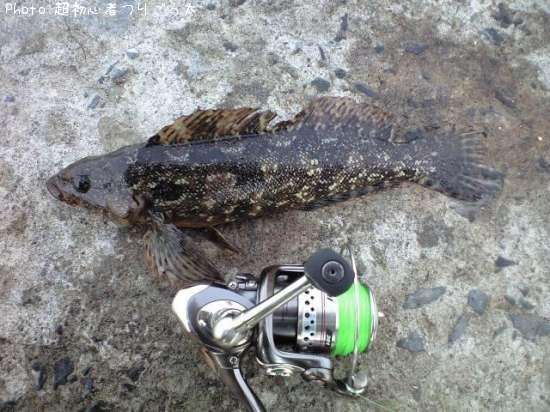 �����ʥ�