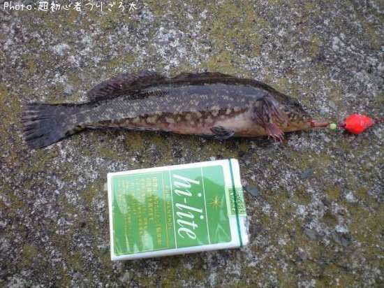 �����ʥ�