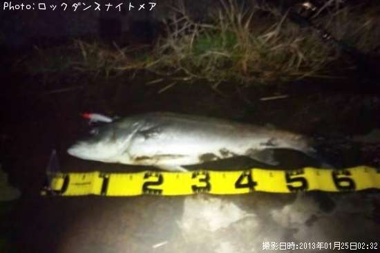 �����Х�