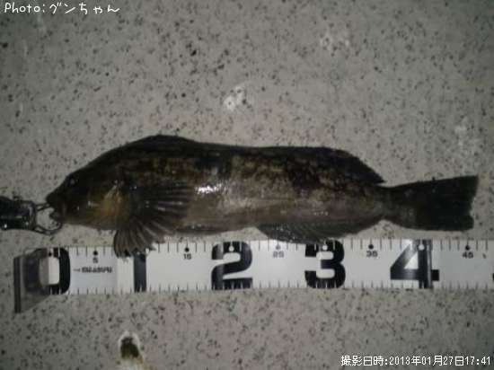 �����ʥ�