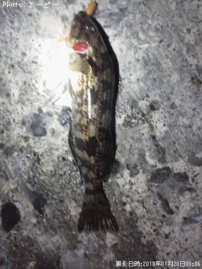 �����ʥ�