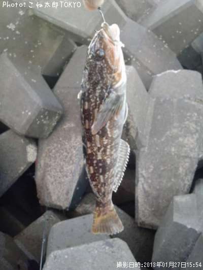 �����ʥ�