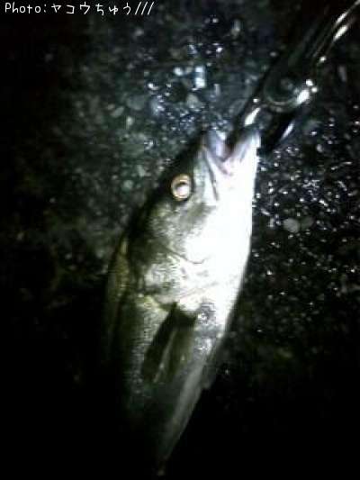 �����Х�