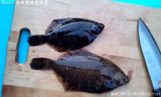 �����������쥤����