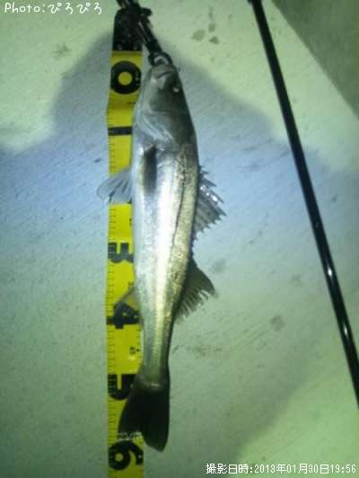 �����Х�