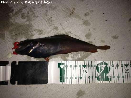 �������������ʥ�