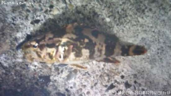 �����Υ���Х�