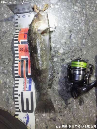 �����ʥ�