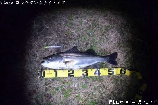 �����Х�