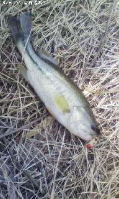 �֥�å��Х�