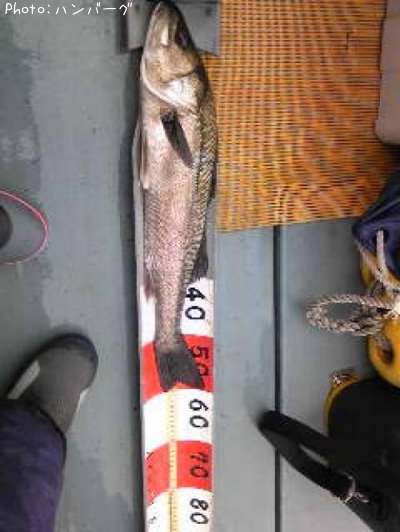 �����Х�