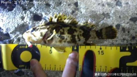 �����Υ���Х�