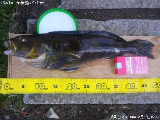 �����ʥᡡ