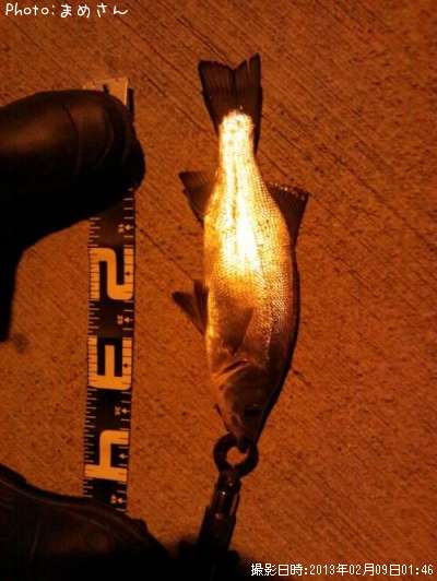 �����Х�