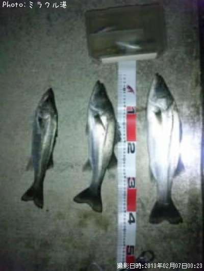 �����Х�