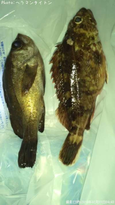 �����顡��Х�