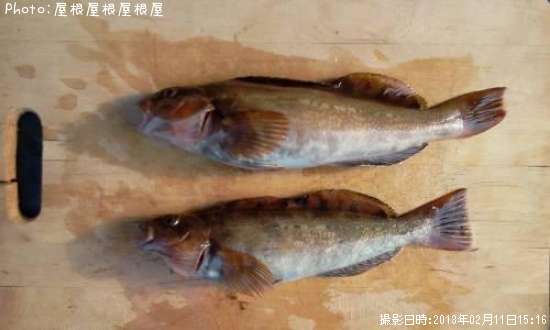 �����ʥ�