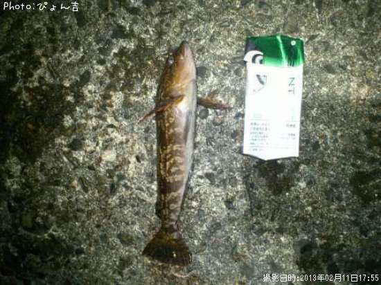 �����ʥ�