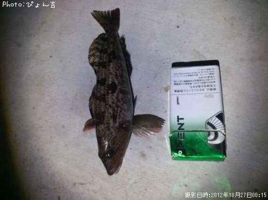 �����ʥ�