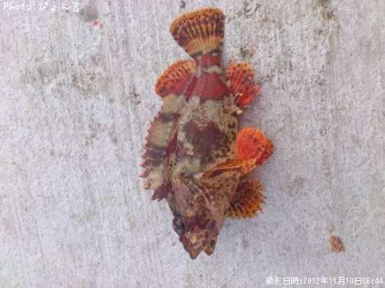 �������Х롩