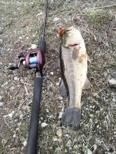 �֥�å��Х�