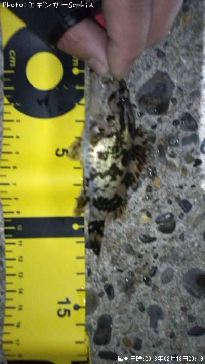 �����Υ���Х�