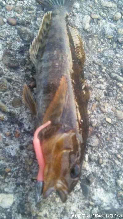 �����ʥ�