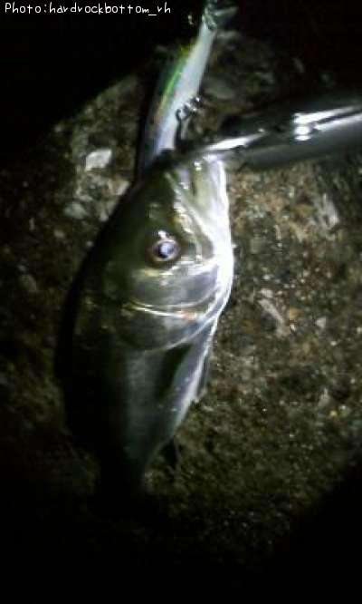 �����Х�