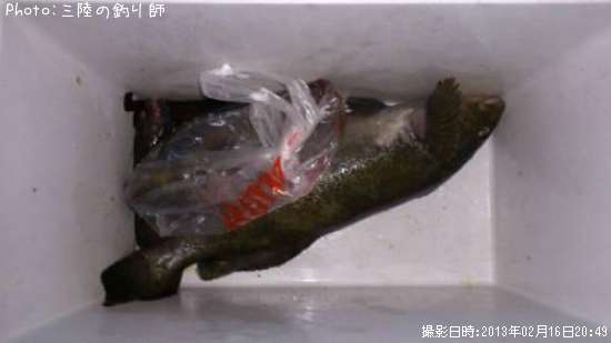 �����ʥ�