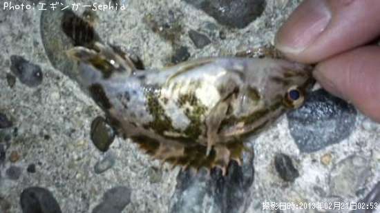 �����Υ���Х�