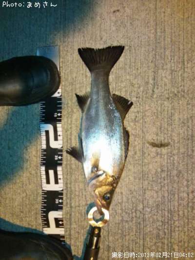 �����Х�