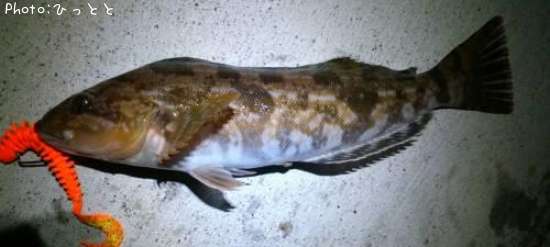 �����ʥ�