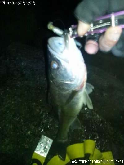 �����Х�