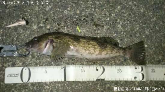 �����ʥ�